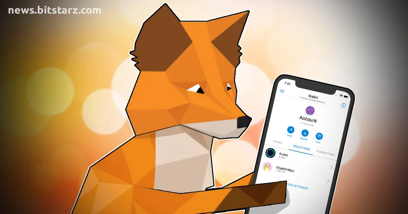 Metamask: What is it, and what's the Chrome extension for?